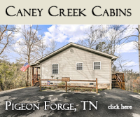 caney creek cabins -listings great smokies 441-2 - Copy.png